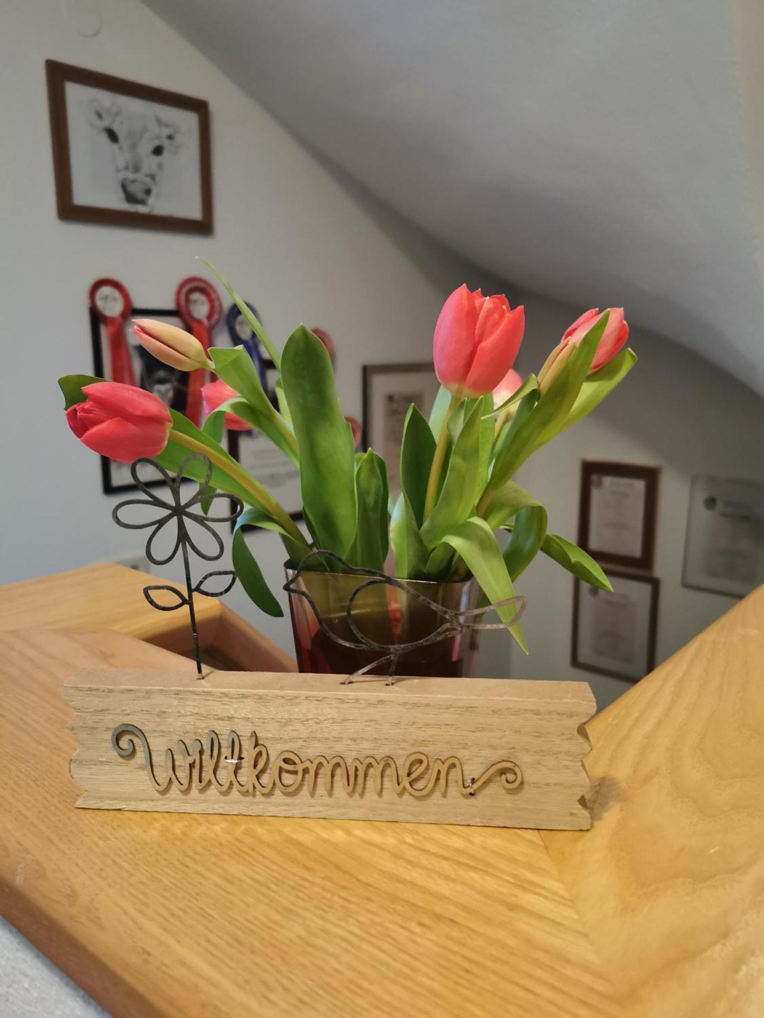 Apartmán Bergfeuerhof Kaunertal Exteriér fotografie